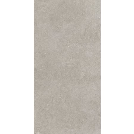 A large image of the Daltile HM1224P-SAMPLE Elite Gray