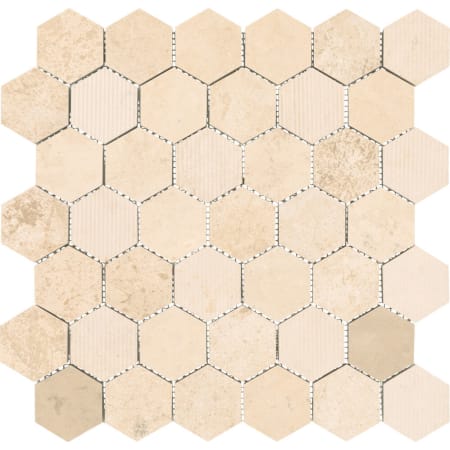 A large image of the Daltile L2HEXMSP Alternate Image