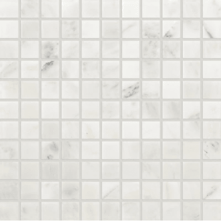 A large image of the Daltile M19011MS1U First Snow Elegance