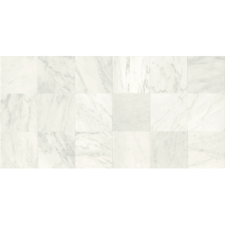 A large image of the Daltile M1212L First Snow Elegance