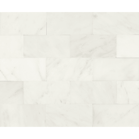 A large image of the Daltile M36L2S First Snow Elegance