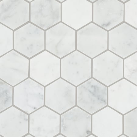 A large image of the Daltile M2HEXMSL Alternate Image