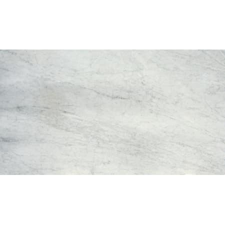 A large image of the Daltile M36L1S Carrara White