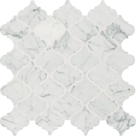 A large image of the Daltile MBAROQUEMSL-SAMPLE Carrara White