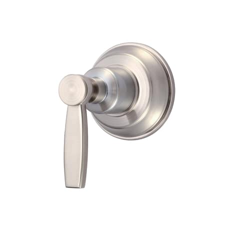 A large image of the Danze D560961T Brushed Nickel