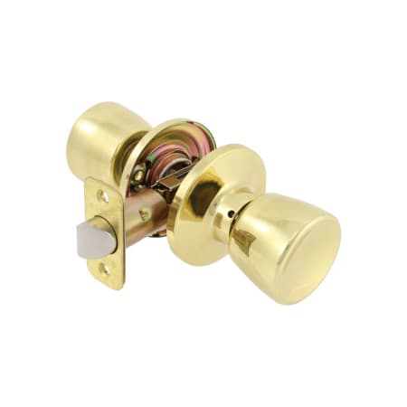 A large image of the Delaney 101T-GN Polished Brass