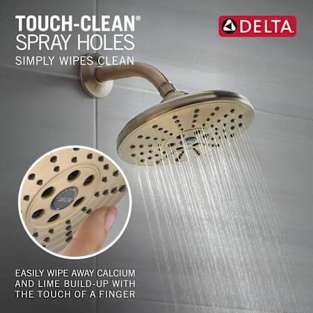 A large image of the Delta T17T259-H2O Alternate Image