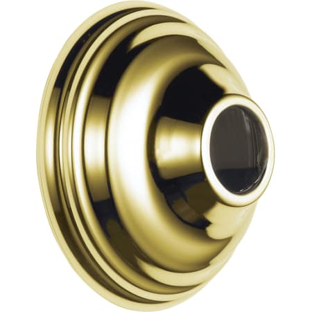 A large image of the Delta RP34356 Polished Brass
