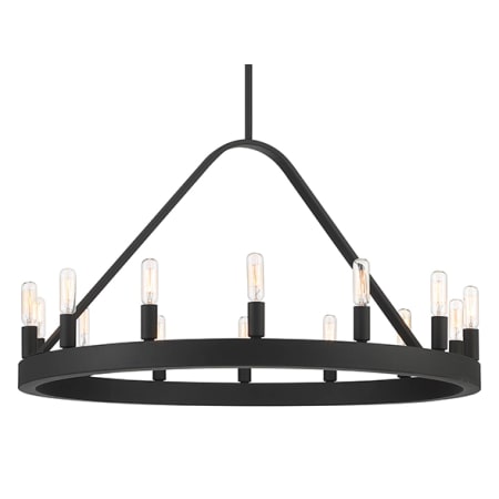 A large image of the Designers Fountain D254C-14CH Black