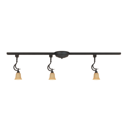 A large image of the Designers Fountain TKK969 Oil Rubbed Bronze
