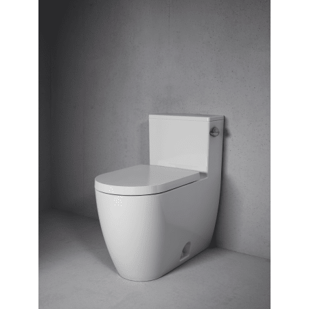 A large image of the Duravit 217101 Alternate View