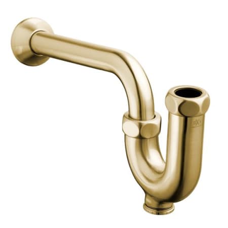 A large image of the DXV D35700020 Satin Brass