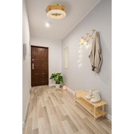 A large image of the Elegant Lighting 3800F14 Alternate Image