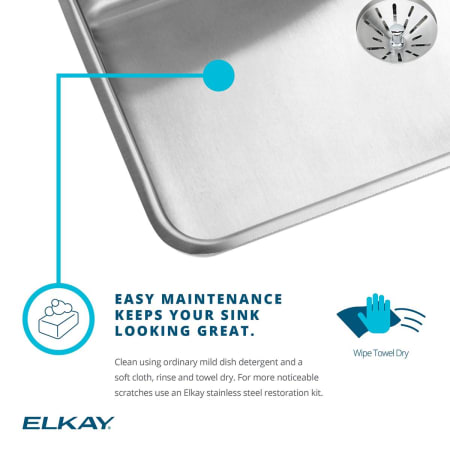 A large image of the Elkay DLFR191810PD Elkay-DLFR191810PD-Sink Maintenance