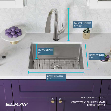 A large image of the Elkay ECTRU21179TFLC Alternate Images