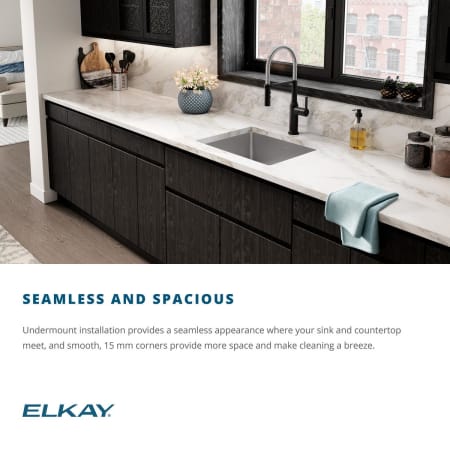 A large image of the Elkay ECTRU30179RT Alternate View