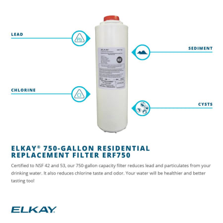 A large image of the Elkay ECTSR25229TFGB Alternate Image