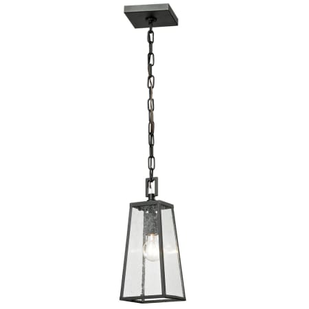 A large image of the Elk Lighting 45092/1 Pendant with Canopy