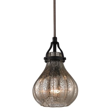 A large image of the Elk Lighting 46024/1 Oil Rubbed Bronze