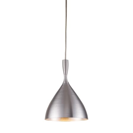 A large image of the Elk Lighting 17042/1 Aluminum
