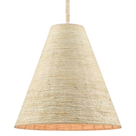 A large image of the Elk Lighting 32456/1 Textured White