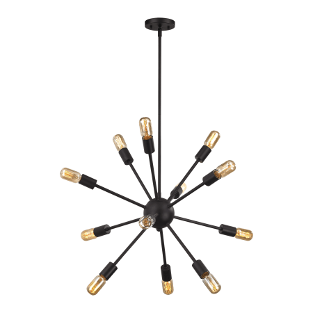 A large image of the Elk Lighting 46231/12 Oil Rubbed Bronze