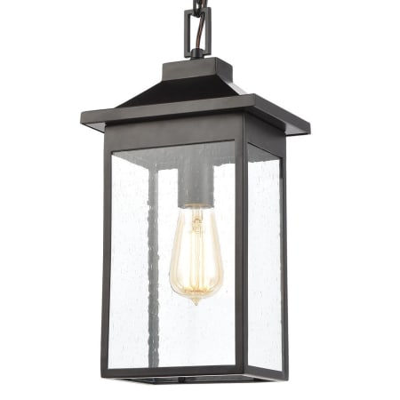 A large image of the Elk Lighting 46703/1 Matte Black