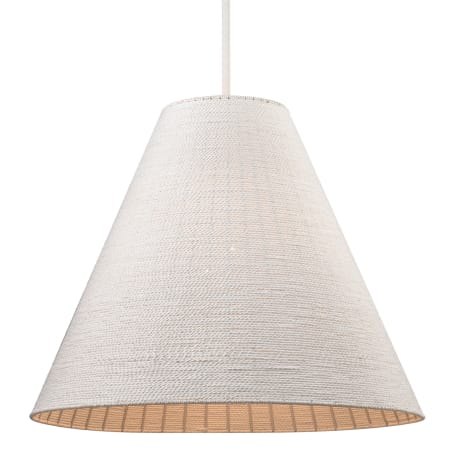 A large image of the Elk Lighting 52266/4 White Coral