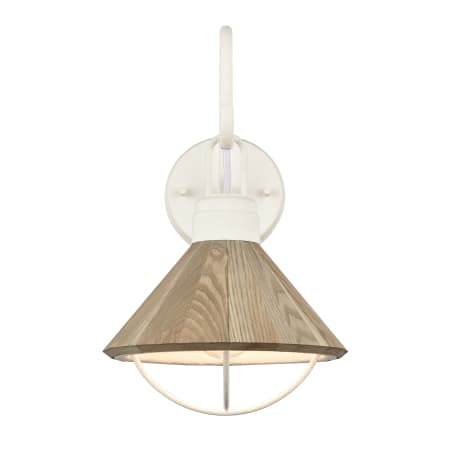 A large image of the Elk Lighting 63154/1 White Coral