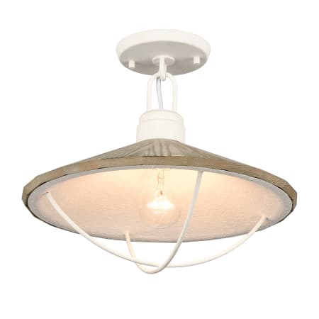 A large image of the Elk Lighting 63155/1 White Coral