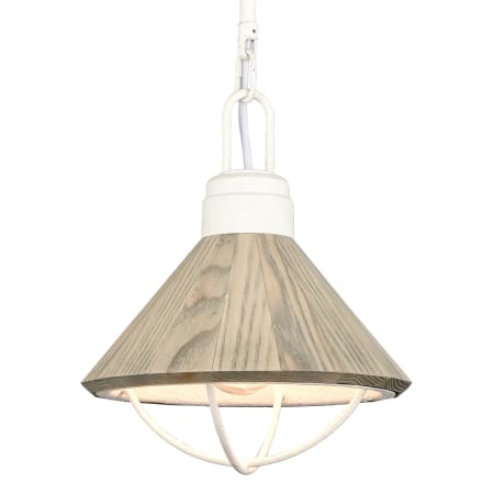 A large image of the Elk Lighting 63156/1 White Coral