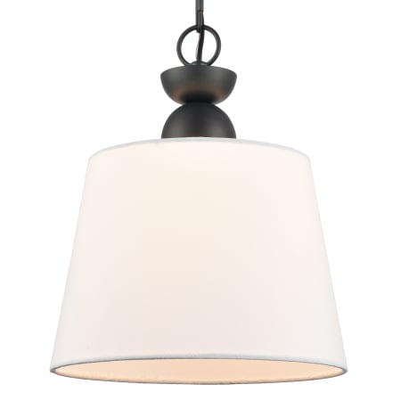 A large image of the Elk Lighting 68264/1 Charcoal