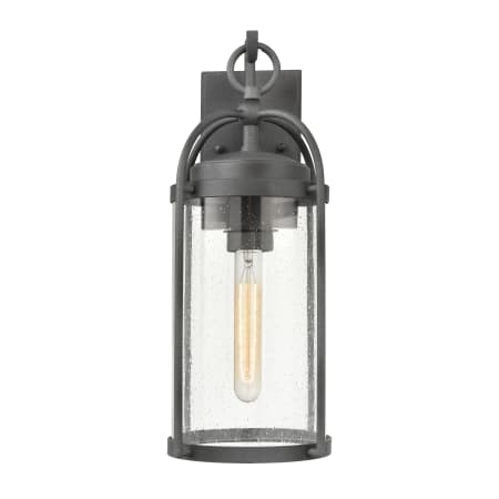 A large image of the Elk Lighting 69720/1 Distressed Zinc