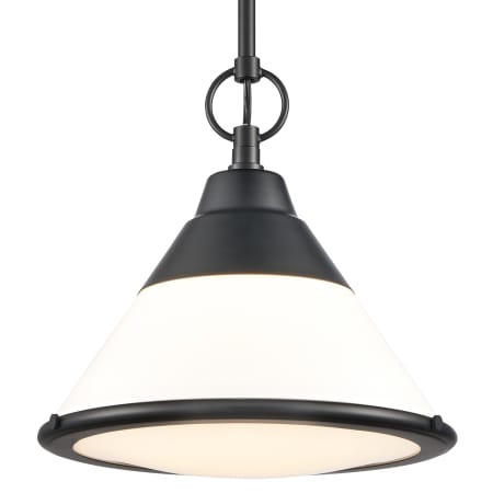 A large image of the Elk Lighting 81435/1 Matte Black