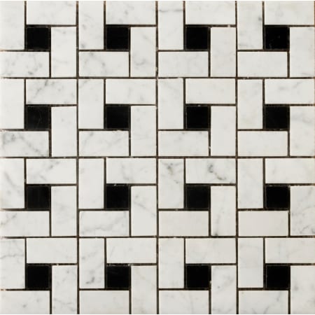 A large image of the Emser Tile M05BIAN1212MPH Bianco Gioia Black