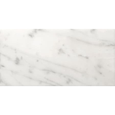 A large image of the Emser Tile M05BIAN0306 Bianco Gioia