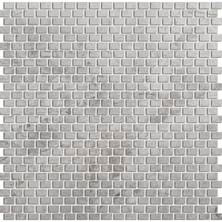 A large image of the Emser Tile M06MARB1212MF Silver