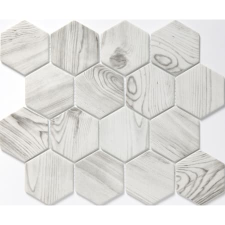 A large image of the Emser Tile W87ECHO1012MH3 White
