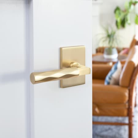 A large image of the Emtek 520TR Emtek-520TR-Satin Brass Lever Application