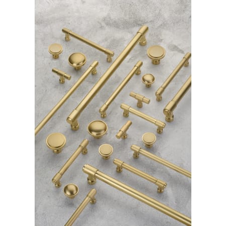 A large image of the Emtek 86686 Industrial Modern Collection in Brass