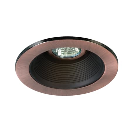 A large image of the Eurofase Lighting R010 Satin Copper / Black