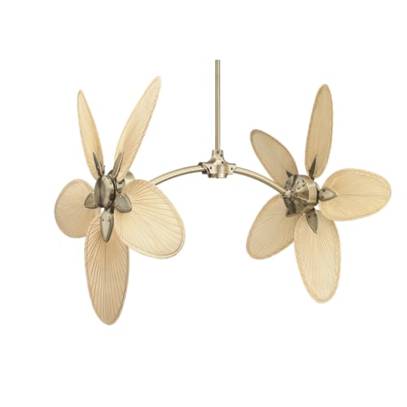 A large image of the Fanimation FP7000AB / CAISP4 Antique Brass with Natural Blades