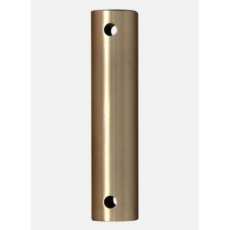A large image of the Fanimation DR1-24 Brushed Satin Brass