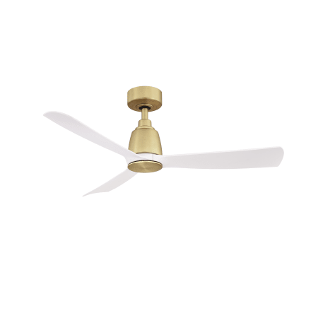 A large image of the Fanimation FPD8547 Brushed Satin Brass