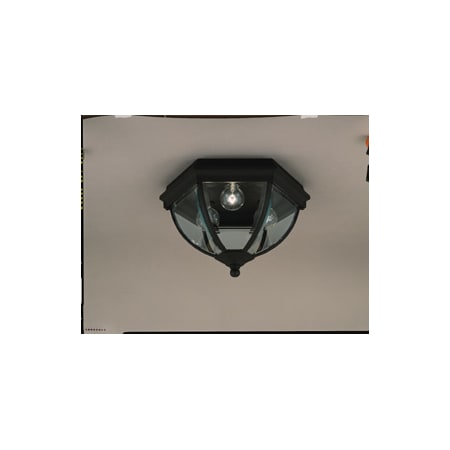 A large image of the Forte Lighting 1720-03 Black