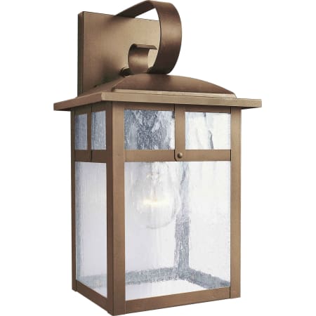 A large image of the Forte Lighting 1118-01 Rustic Sienna