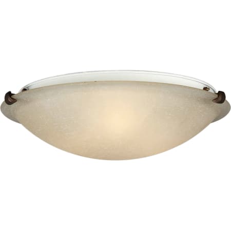A large image of the Forte Lighting 2199-02 Antique Bronze