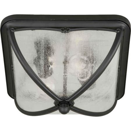 A large image of the Forte Lighting 1823-02 Black