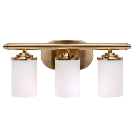 A large image of the Forte Lighting 5105-03 Soft Gold Alternate View 1