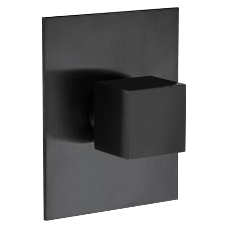 A large image of the Fortis 84402SQ Brushed Black
